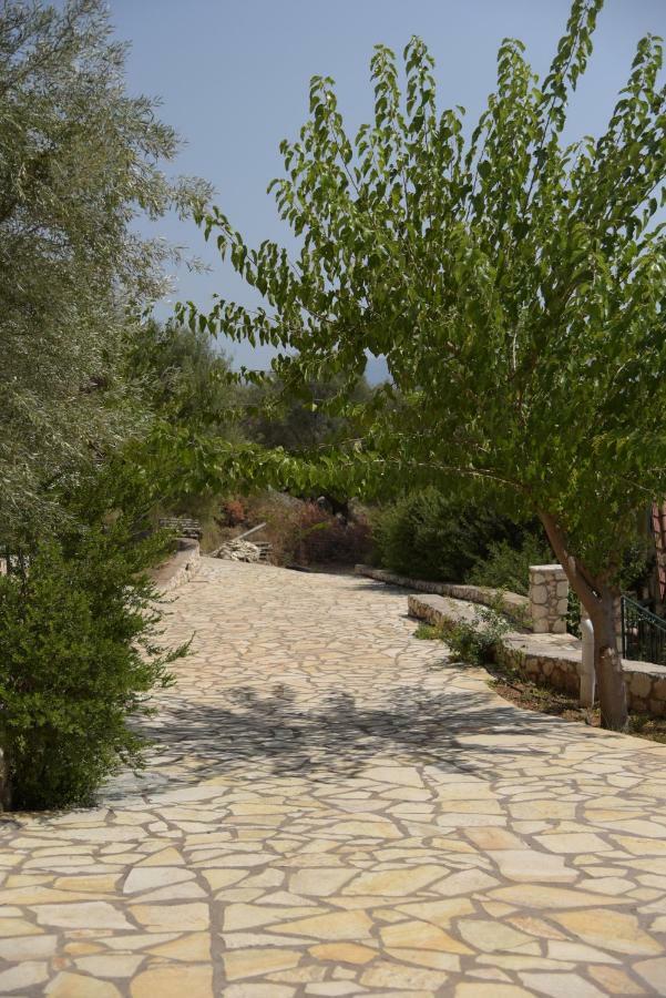 Elia Village Katomerion Esterno foto